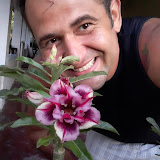 Leudo Jr com Flor Dobrada Rara